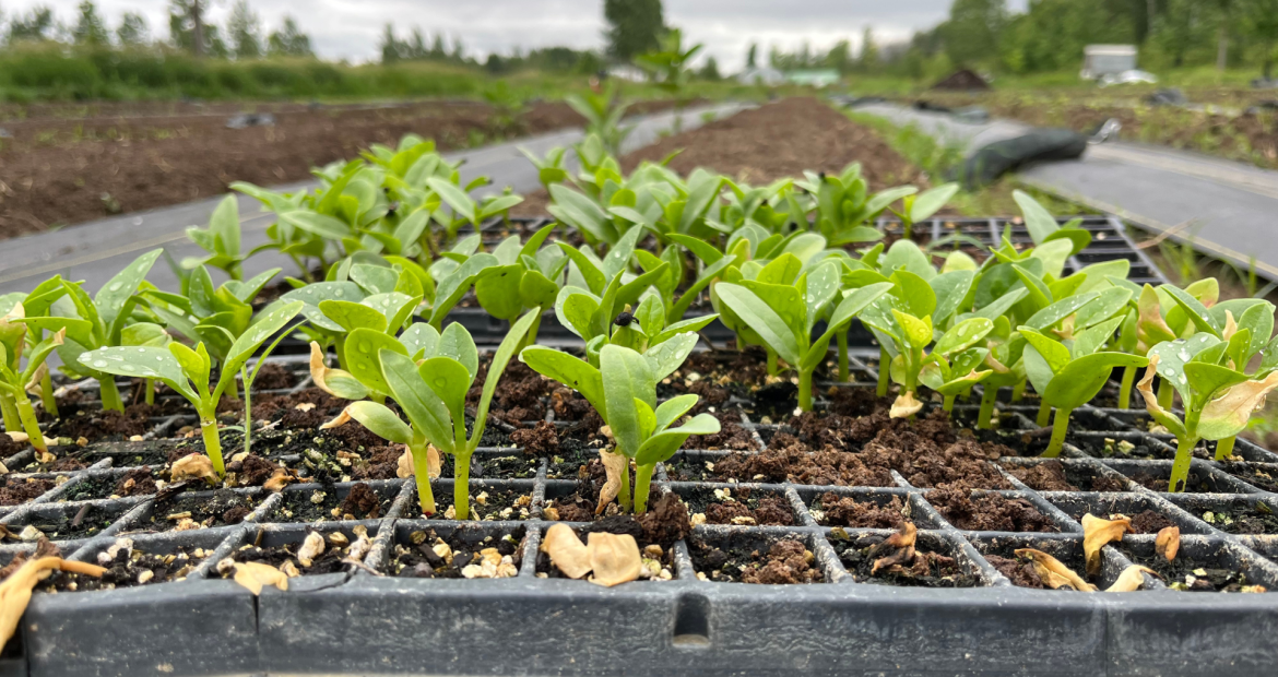 Design sans titre(90)