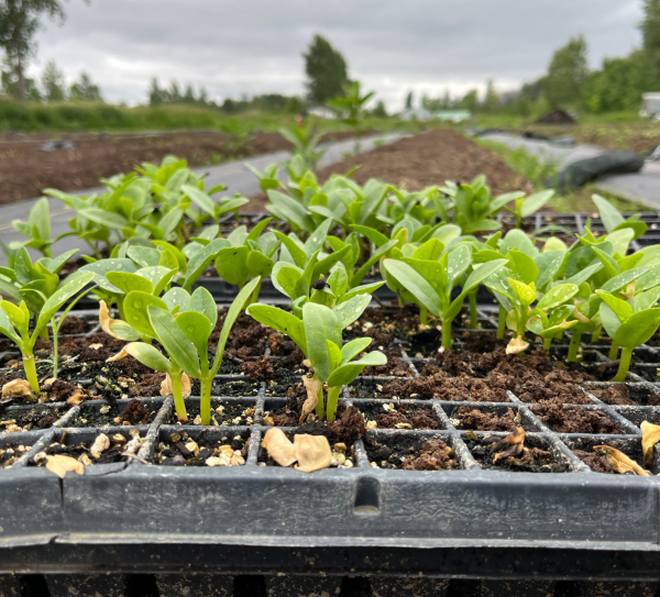 Design sans titre(90) Design sans titre(90)