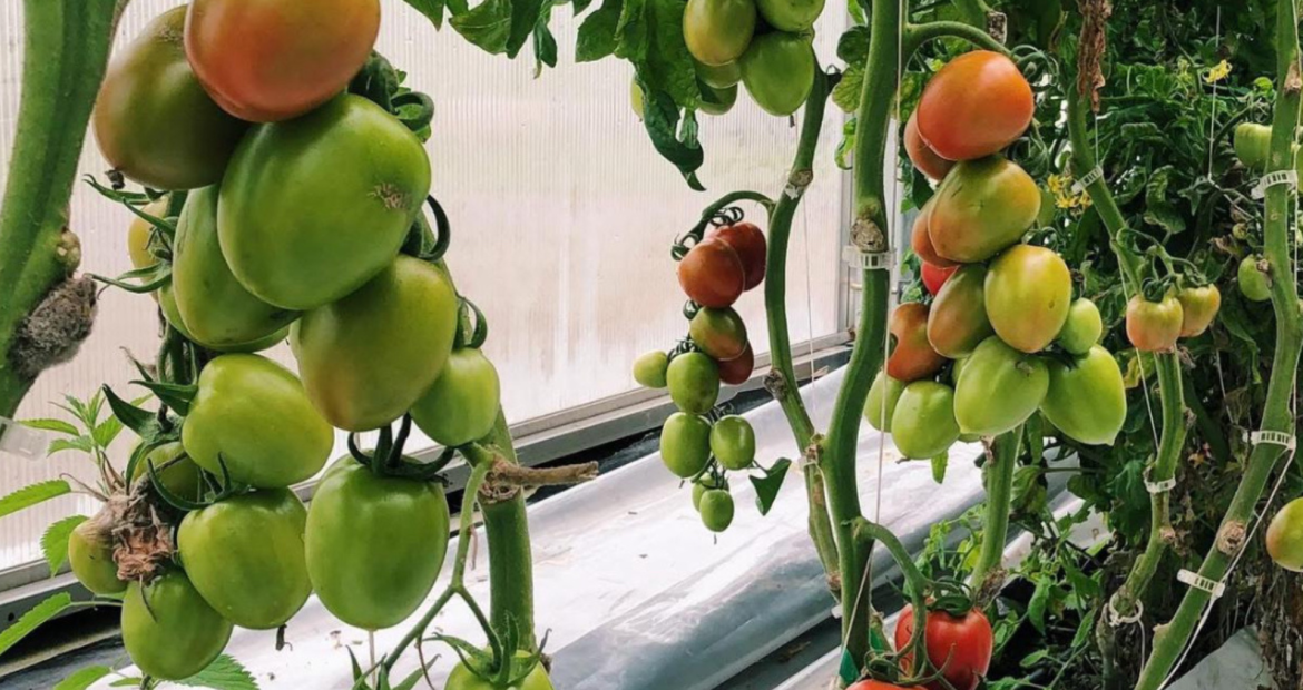 Design sans titre(74)