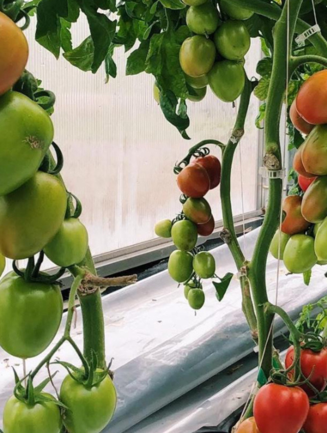 Design sans titre(74)