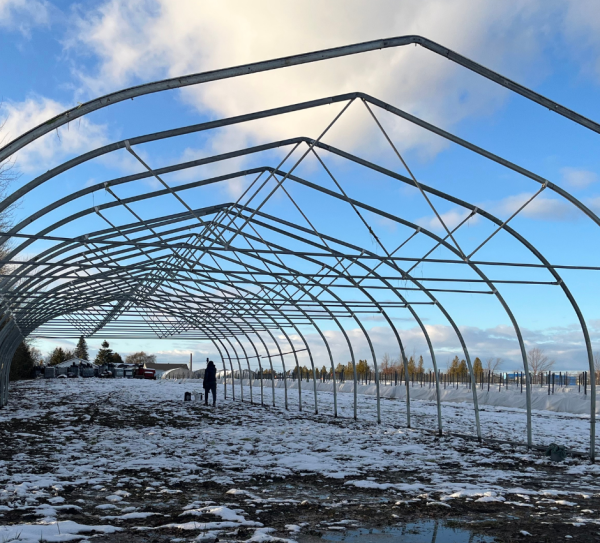 Design sans titre(83) Design sans titre(83)